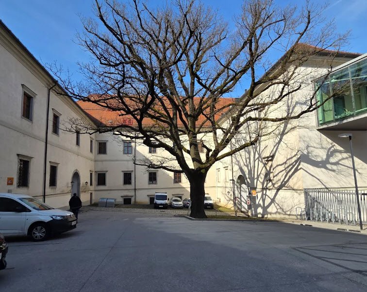 Schlossmuseum Linz, Linz, Austria, Germany
